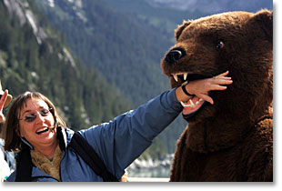 Photo of bear attacking Kathy